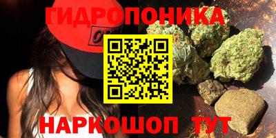 2c-b Новодвинск